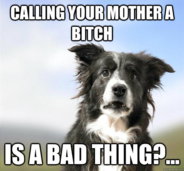 calling your mother a bitch is a bad thing -