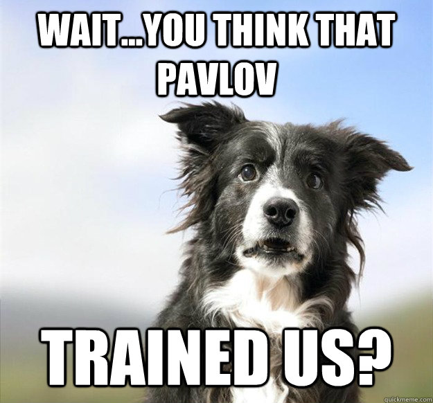 waityou think that pavlov trained us -