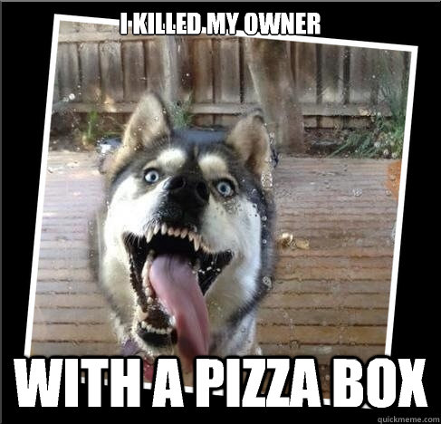 i killed my owner with a pizza box - Domestic Insanity Wolf
