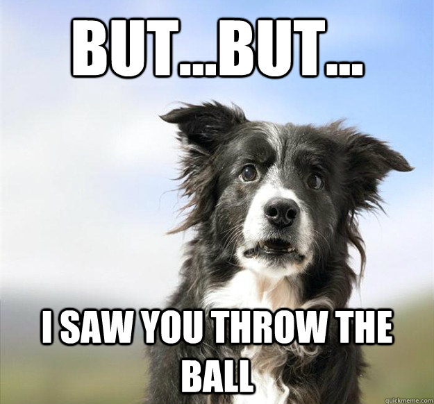 butbut i saw you throw the ball -