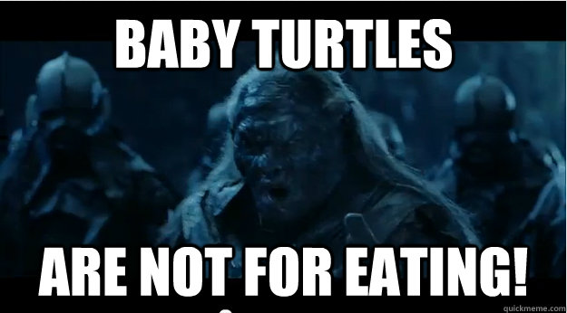 baby turtles are not for eating - They Are Not For Eating