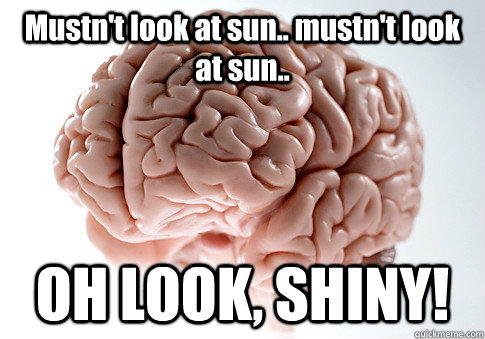 mustnt look at sun mustnt look at sun oh look shiny  - Scumbag Brain