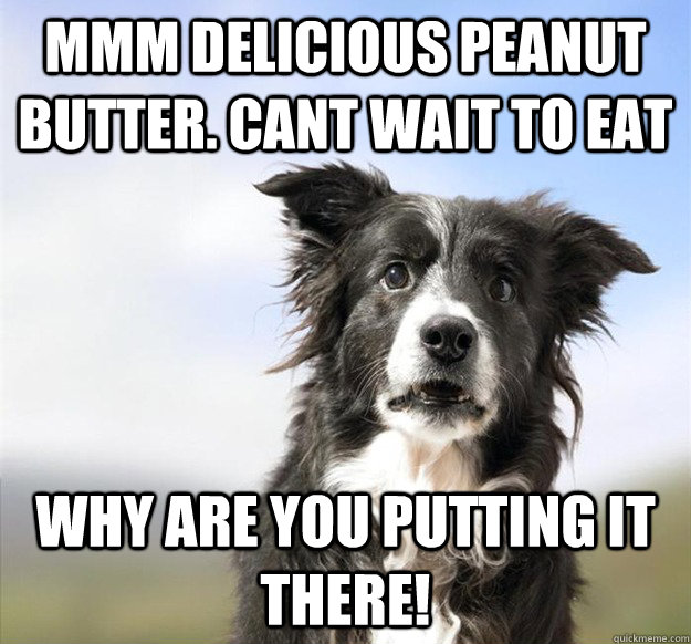 mmm delicious peanut butter cant wait to eat why are you pu -