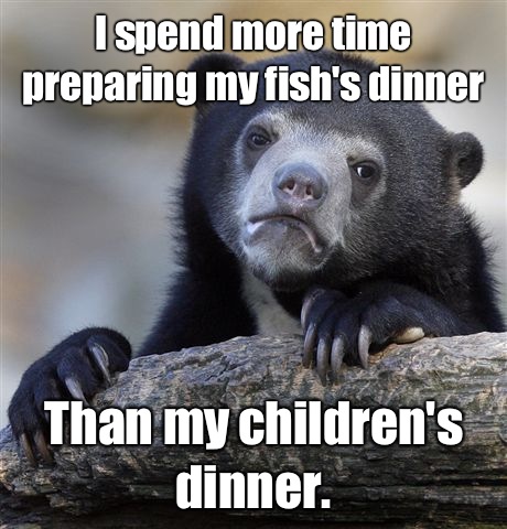 I spend more time preparing my fishs dinner Than my children - Confession Bear