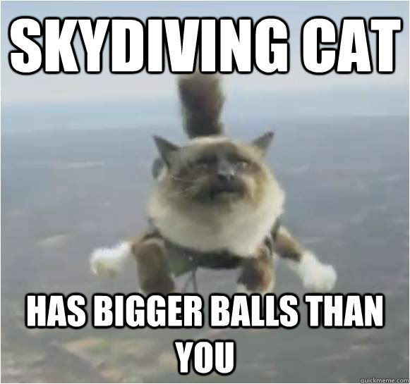 skydiving cat has bigger balls than you -