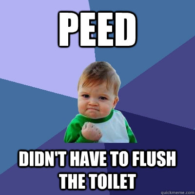 peed didnt have to flush the toilet - Success Kid