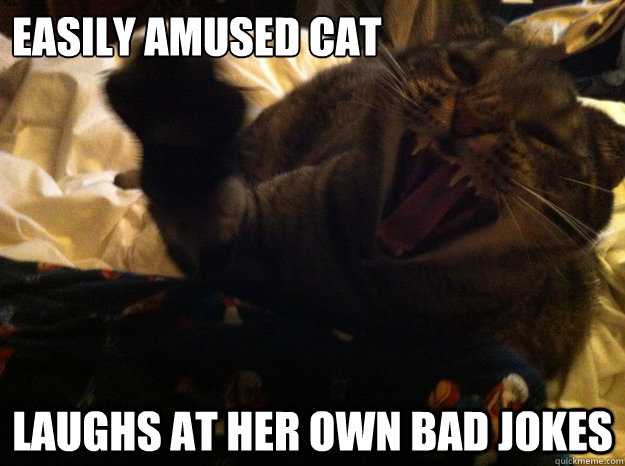 easily amused cat laughs at her own bad jokes - Easily Amused Cat