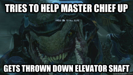tries to help master chief up gets thrown down elevator shaf - Misunderstood Elite