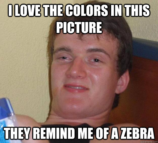i love the colors in this picture they remind me of a zebra - 10 Guy