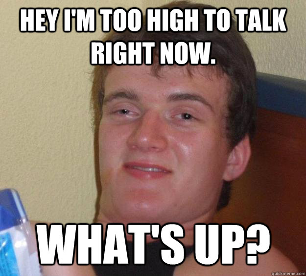 hey im too high to talk right now whats up - 10 Guy
