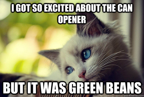 i got so excited about the can opener but it was green beans - First World Cat Problems