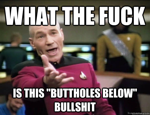 what the fuck is this buttholes below bullshit - Annoyed Picard HD