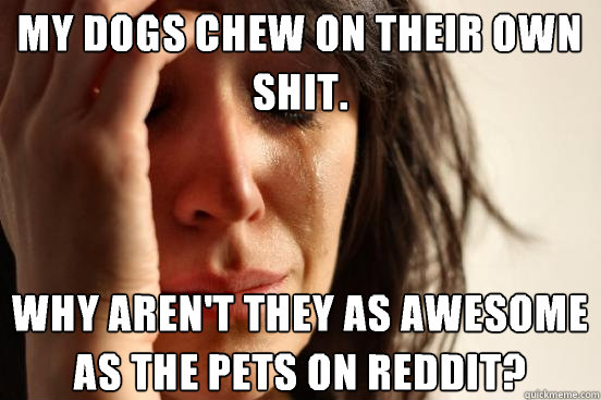 my dogs chew on their own shit why arent they as awesome a - First World Problems