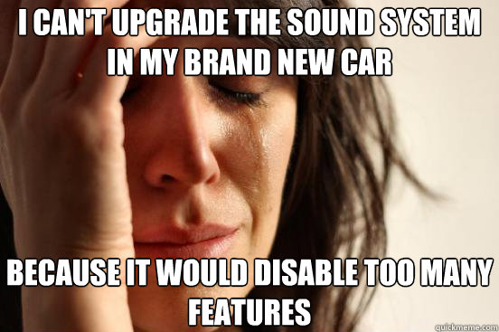 i cant upgrade the sound system in my brand new car because - First World Problems