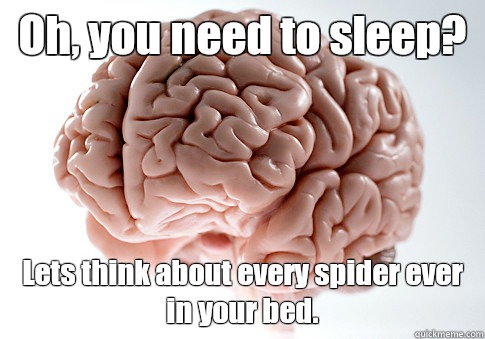 Oh you need to sleep Lets think about every spider ever in y - Scumbag Brain