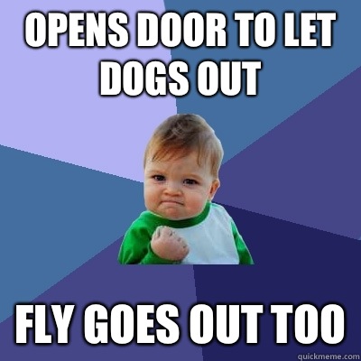 Opens door to let dogs out Fly goes out too - Success Kid
