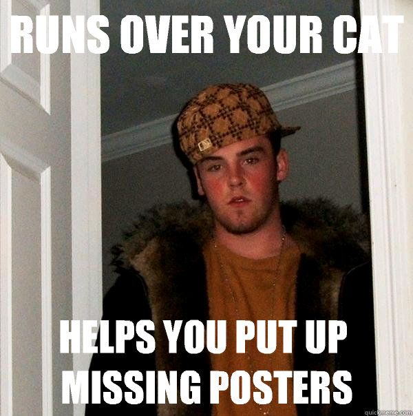 runs over your cat helps you put up missing posters - Scumbag Steve
