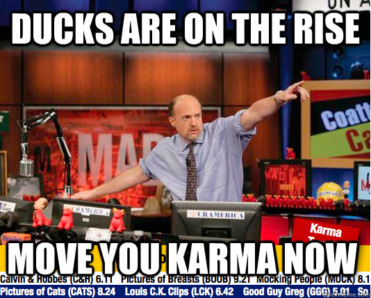 ducks are on the rise move you karma now - move your karma now