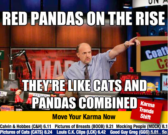 red pandas on the rise theyre like cats and pandas combined - Mad Karma with Jim Cramer