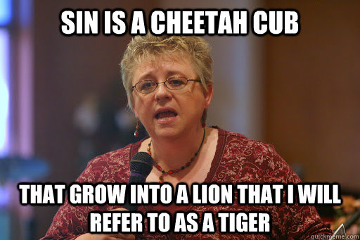 sin is a cheetah cub that grow into a lion that i will refer - Becky Fischer Logic