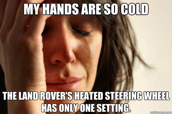 my hands are so cold the land rovers heated steering wheel - First World Problems