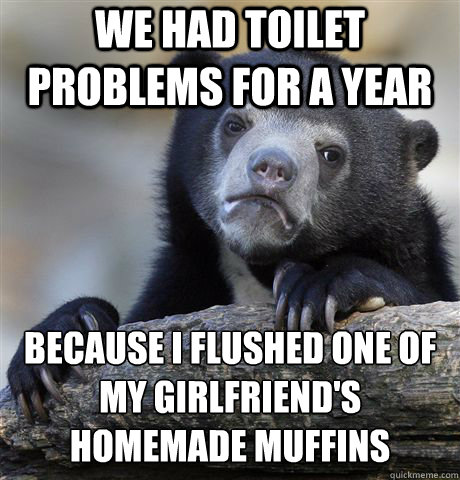 we had toilet problems for a year because i flushed one of m - Confession Bear