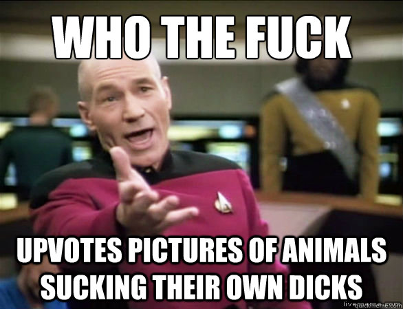 who the fuck upvotes pictures of animals sucking their own d - Annoyed Picard HD