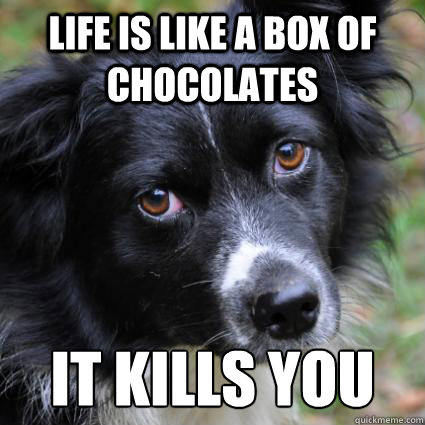 life is like a box of chocolates it kills you -