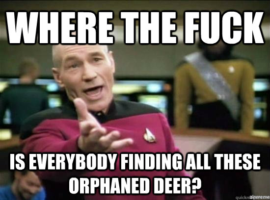 where the fuck is everybody finding all these orphaned deer - Annoyed Picard HD