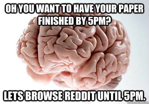 oh you want to have your paper finished by 5pm lets browse - Scumbag Brain
