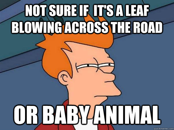not sure if its a leaf blowing across the road or baby ani - Futurama Fry