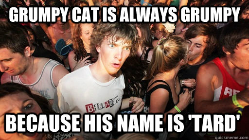 grumpy cat is always grumpy because his name is tard - Sudden Clarity Clarence