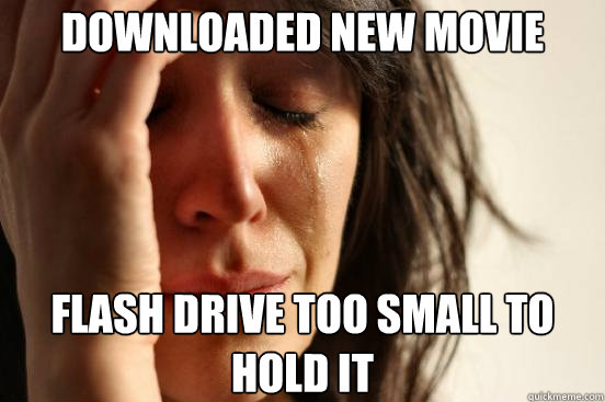 downloaded new movie flash drive too small to hold it - First World Problems