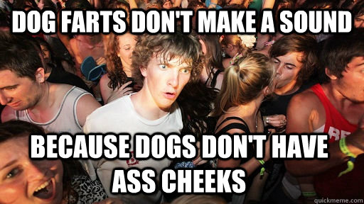 dog farts dont make a sound because dogs dont have ass che - Sudden Clarity Clarence