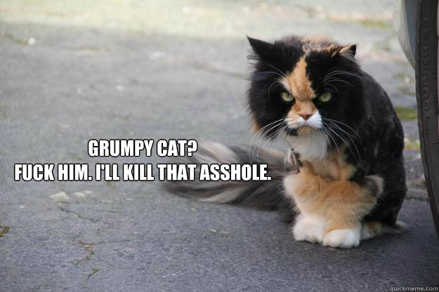 grumpy cat fuck him ill kill that asshole - Angry Cat