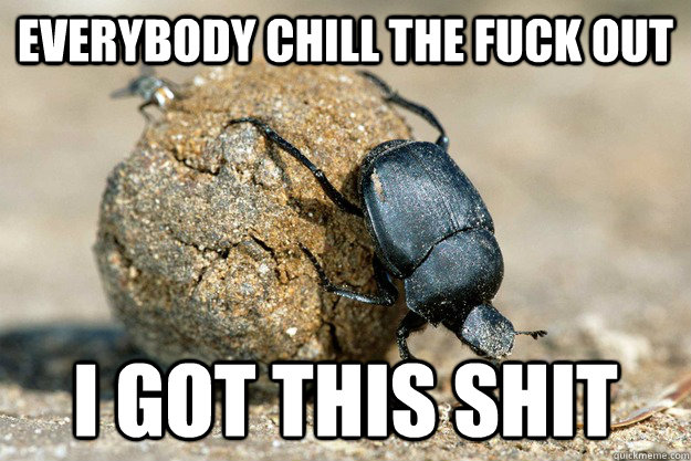 everybody chill the fuck out i got this shit -