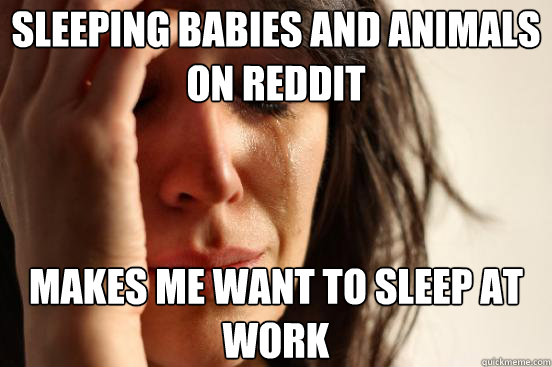 sleeping babies and animals on reddit makes me want to sleep - First World Problems