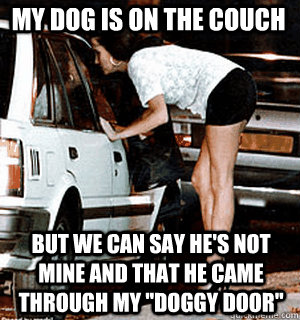 my dog is on the couch but we can say hes not mine and that - Karma Whore