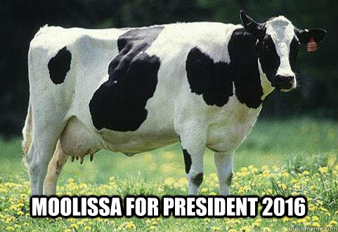 moolissa for president 2016 -