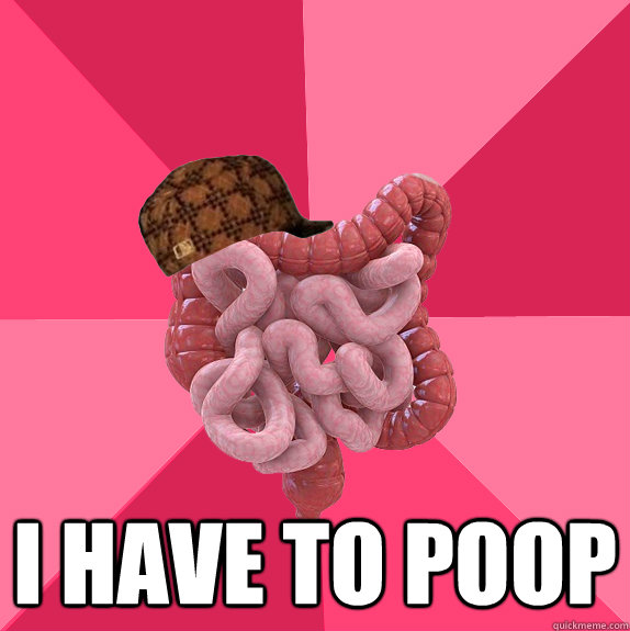 i have to poop - Scumbag Intestines