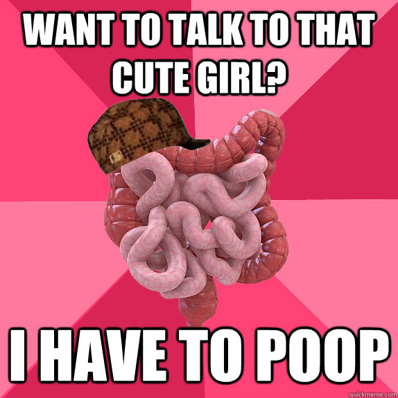 want to talk to that cute girl i have to poop - Scumbag Intestines