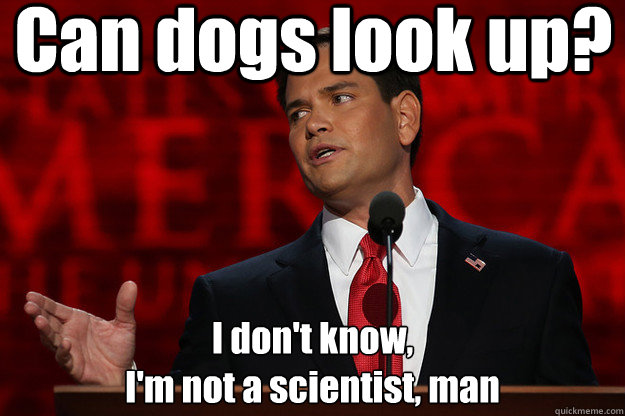 can dogs look up i dont know im not a scientist man - Not-a-scientist Rubio