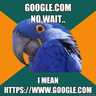 googlecom no wait i mean httpswwwgooglecom - Paranoid Parrot