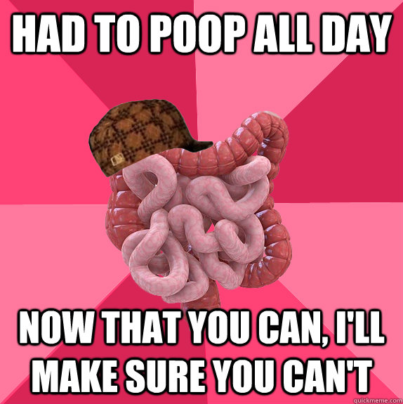 had to poop all day now that you can ill make sure you can - Scumbag Intestines