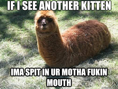 if i see another kitten ima spit in ur motha fukin mouth - Alpacapillar