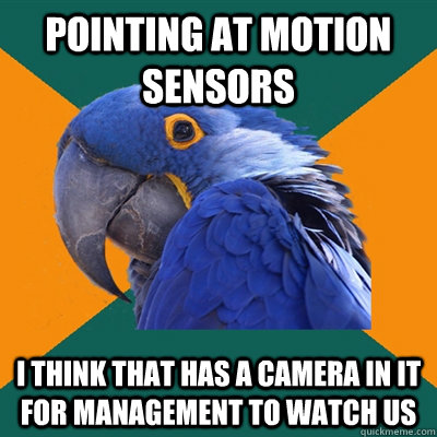 pointing at motion sensors i think that has a camera in it f - Paranoid Parrot