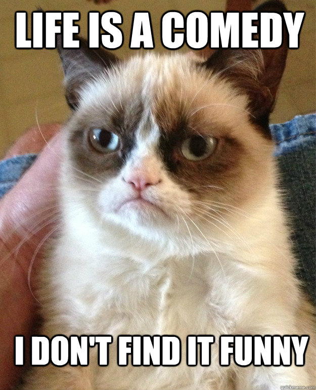 life is a comedy i dont find it funny - Grumpy Cat
