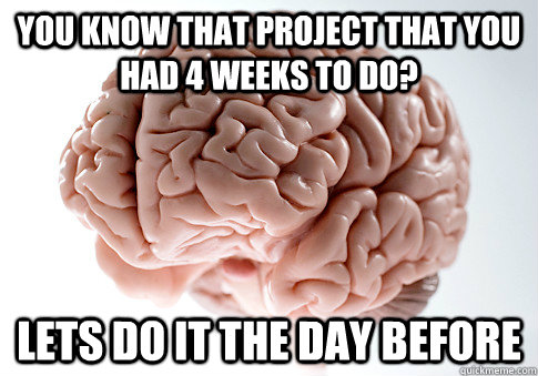 you know that project that you had 4 weeks to do lets do it - Scumbag Brain