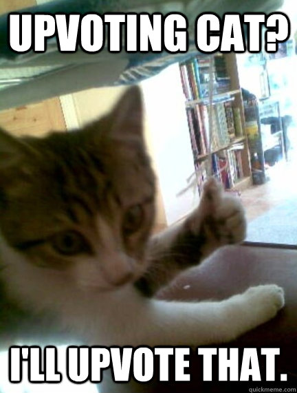 upvoting cat ill upvote that -