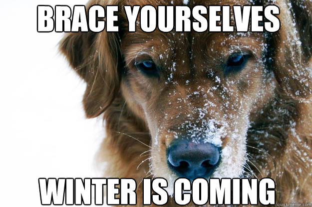 brace yourselves winter is coming - direwolf